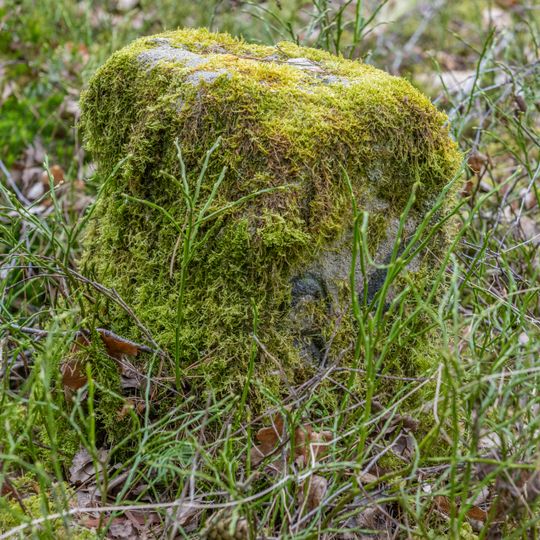 Grenzstein Untere Gemeinde in Fürth