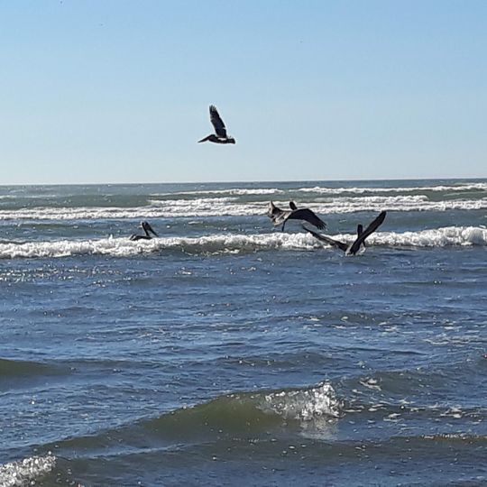 Moclips Ocean Beach Access