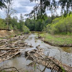 Beattie Pinery Provincial Park