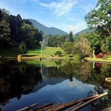 姬波達斯植物園