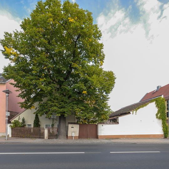 Coswig Hauptstraße 50