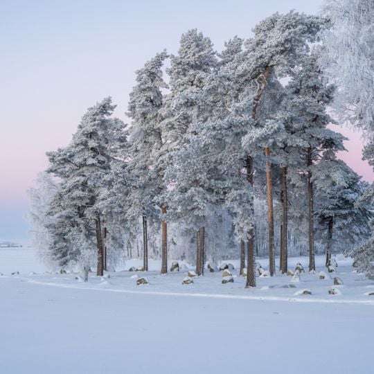 Contea di Västra Götaland