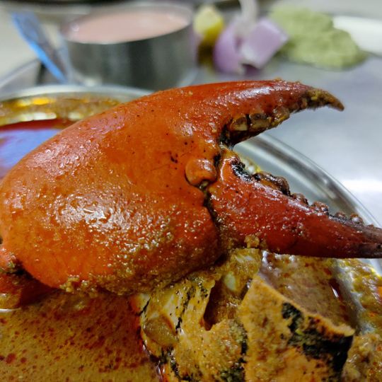 Satkar Rice Plate House