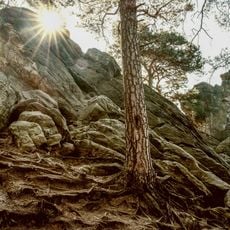 Sandsteinzug Teutoburger Wald