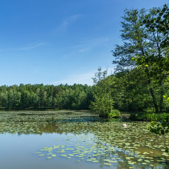Wermsdorfer Waldteichkette