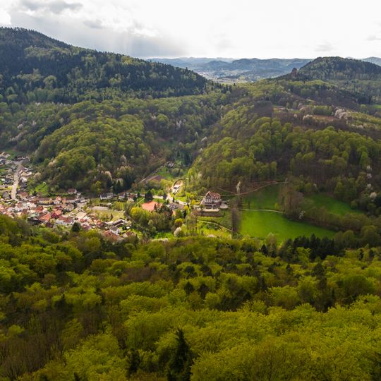 Biosphärenreservat Pfälzerwald-Nordvogesen