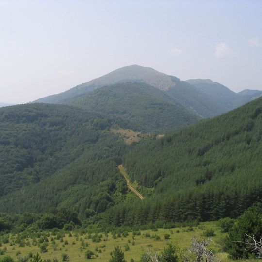 Ruy Mountain