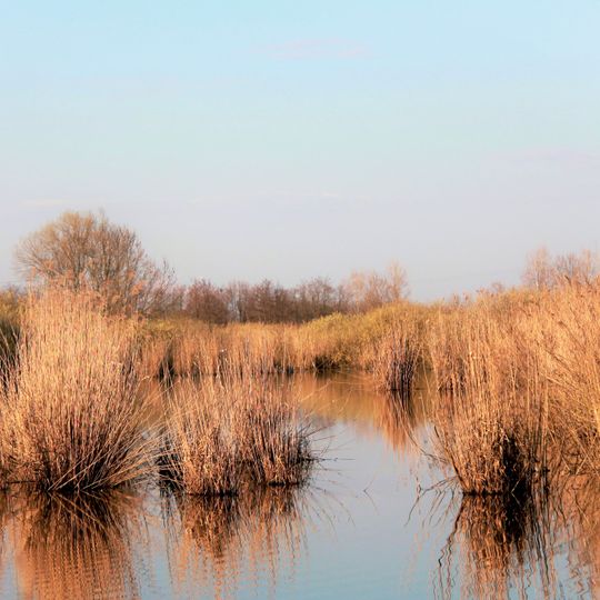 Riserva naturale Torbiere di Marcaria