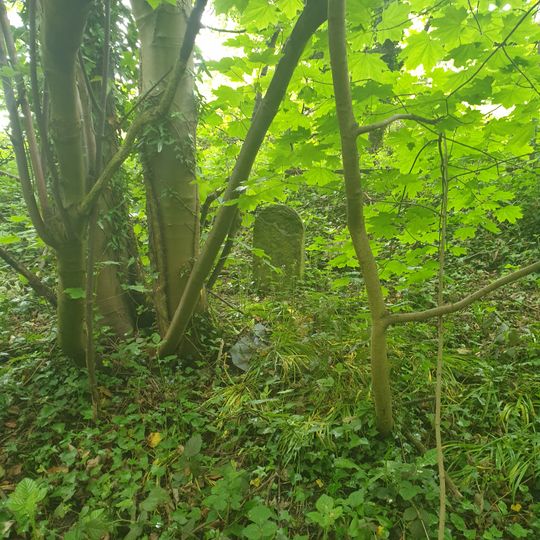 Mile Post At Ngr 37948668