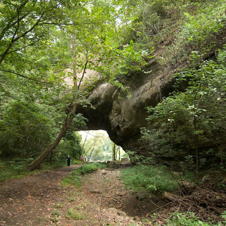 Creelsboro Rock Arch