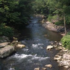 Savage River State Forest