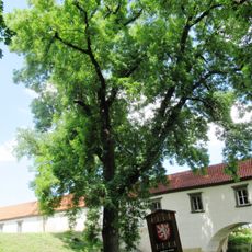 Jasan pod Rudolfinkou