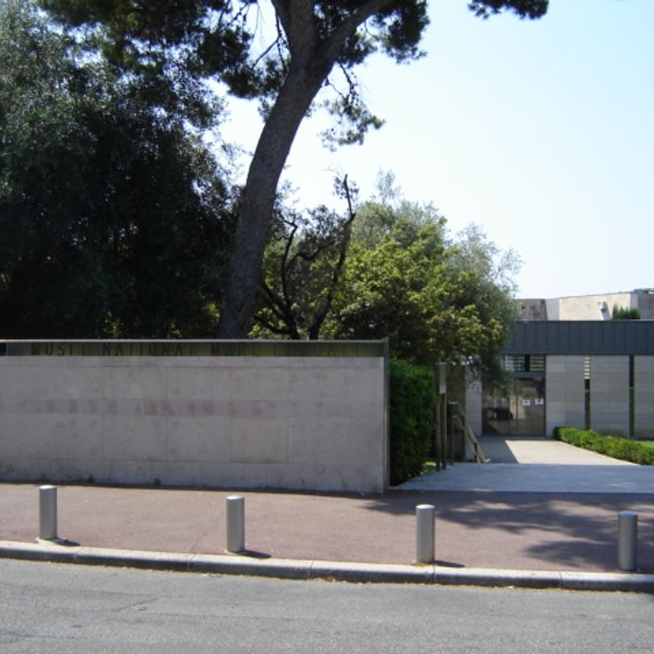 National Marc Chagall Museum