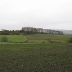 Landschaftsschutzgebiet Lossewiesen bei Niederkaufungen