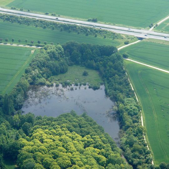 NSG Steinbruch Vellern