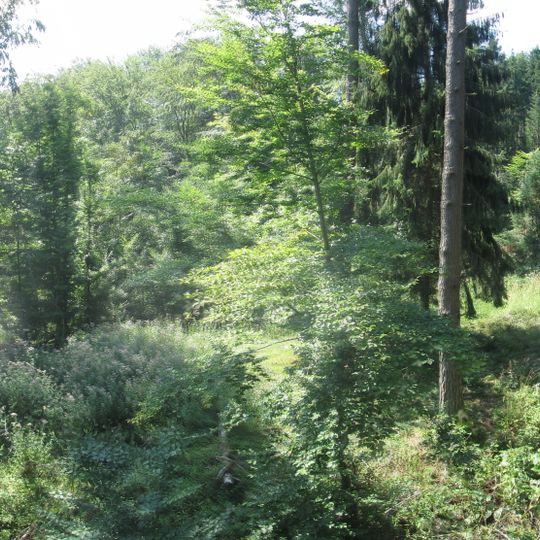 Alte Sandgrube mit Tümpel, Plüderhausen