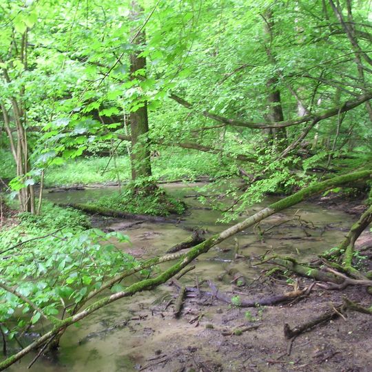 Nature reserve Jar Brynicy