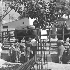 Tel Aviv Zoo