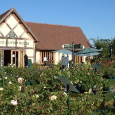 David Austin Rose Garden