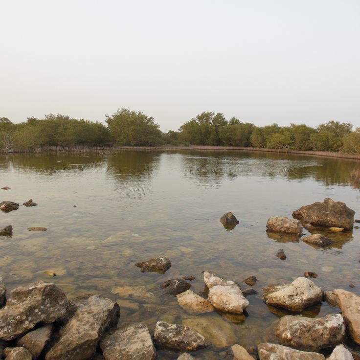 Île Violette - Île d'Al Khor