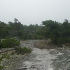 Great Wass Island Preserve