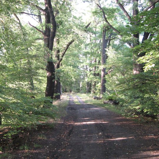 Nature reserve Łężczok