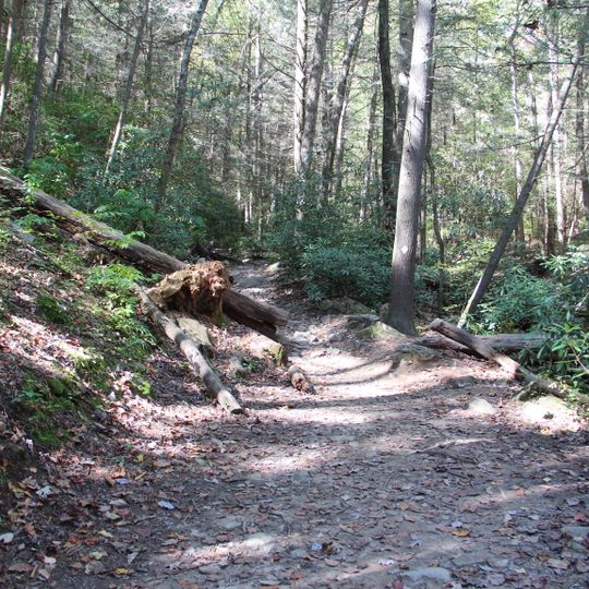Benton MacKaye Trail