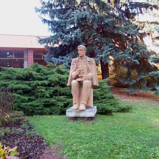 Socha Učitel s mikroskopem u ulice Terezie Brzkové v Plzni