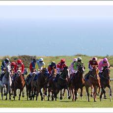 Brighton Racecourse