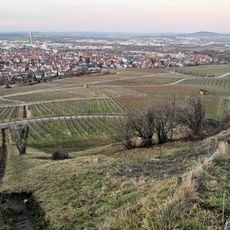 Trockenrasen mit Gebüsch