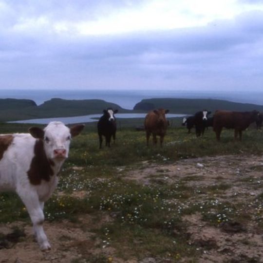 Loch of Watsness,broch E of