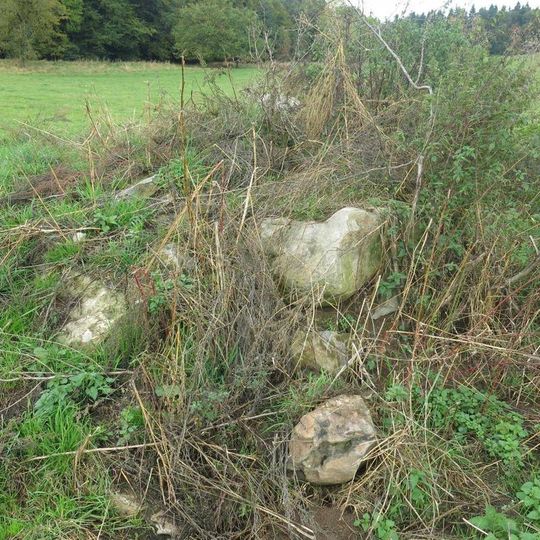 Trosky zřícené kapličky na pastvině nad Řetouní