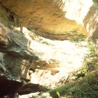 Strouds Ridge Preserve