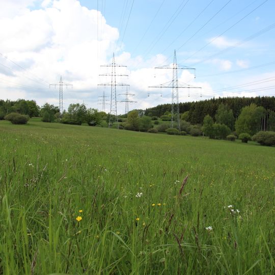 Wiesen am Hirtenborn