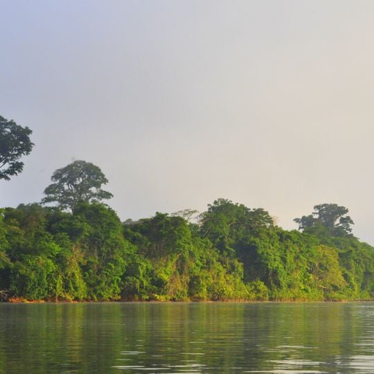Parco amazzonico della Guyana francese