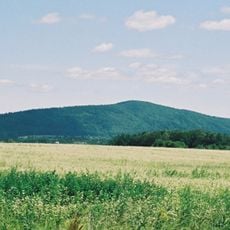 Goryczka (Masyw Śnieżnika)