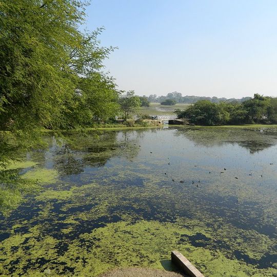Nawabganj Bird Sanctuary