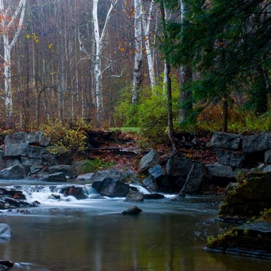 Robert H. Treman State Park