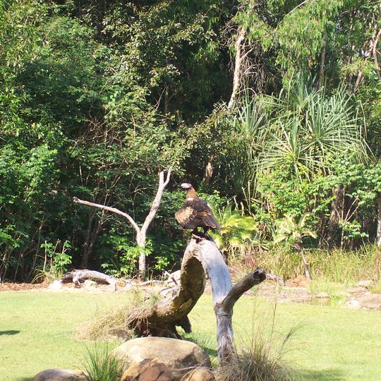 Territory Wildlife Park