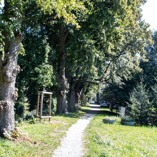 Lipové stromořadí v Krčíně