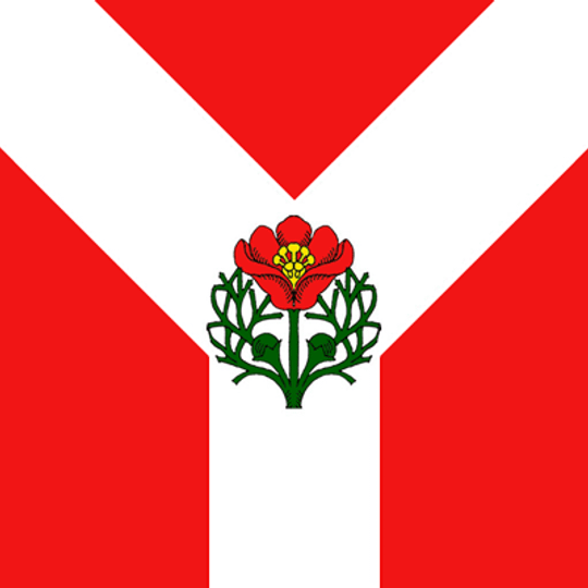 Руднянское городское поселение