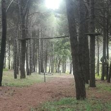 Pitz'e Pranu