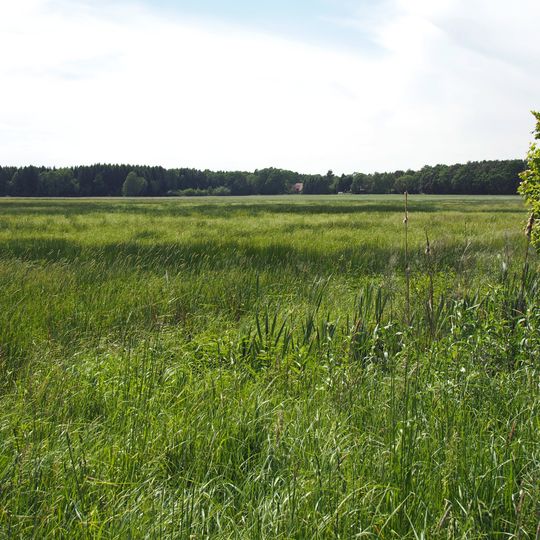 Wietzendorfer Moor
