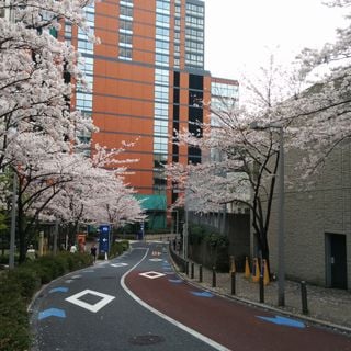 Sakurazaka (Roppongi)