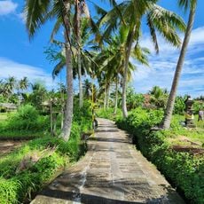 Kajeng Rice field