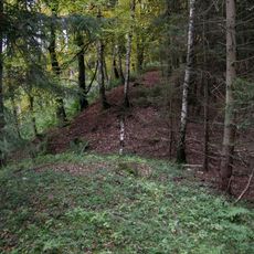 Burgwall Janow
