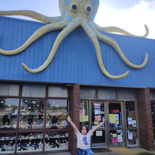 Griffiths Sea Shell Museum