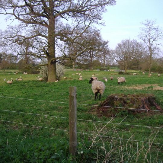 Alethorpe