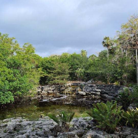 Leon Levy Native Plant Preserve
