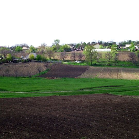 Flămînzeni, Sîngerei